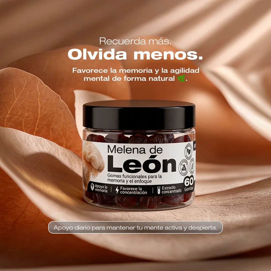 GOMAS DE MELENA DE LEON 🦁
