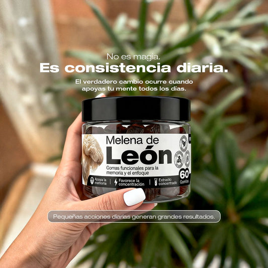 GOMAS DE MELENA DE LEON 🦁