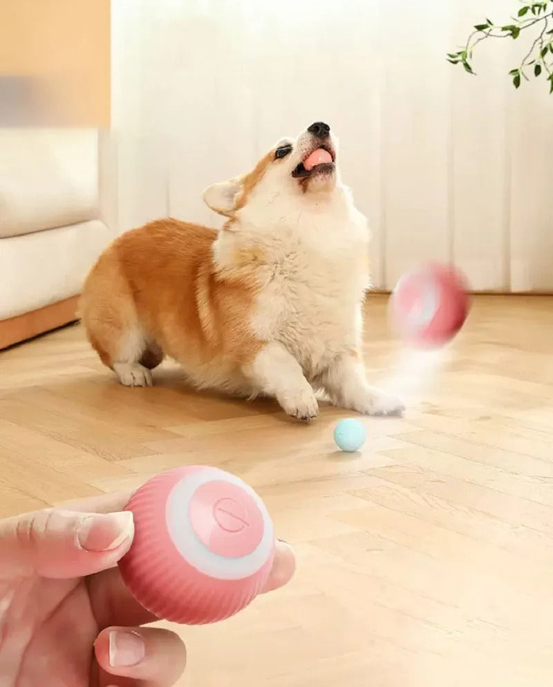 PELOTA INTELIGENTE ROLLER BALL USB®️ + ENVIO GRATIS