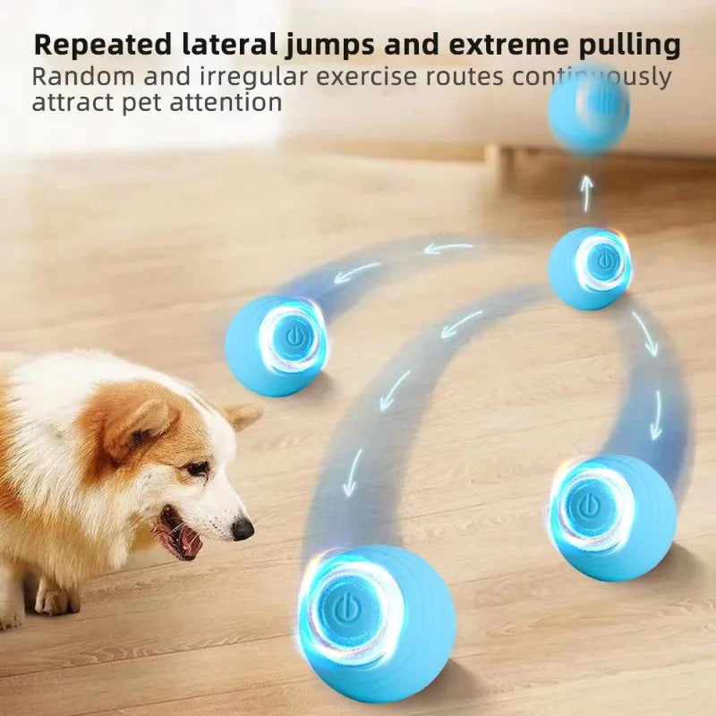 PELOTA INTELIGENTE ROLLER BALL USB®️ + ENVIO GRATIS