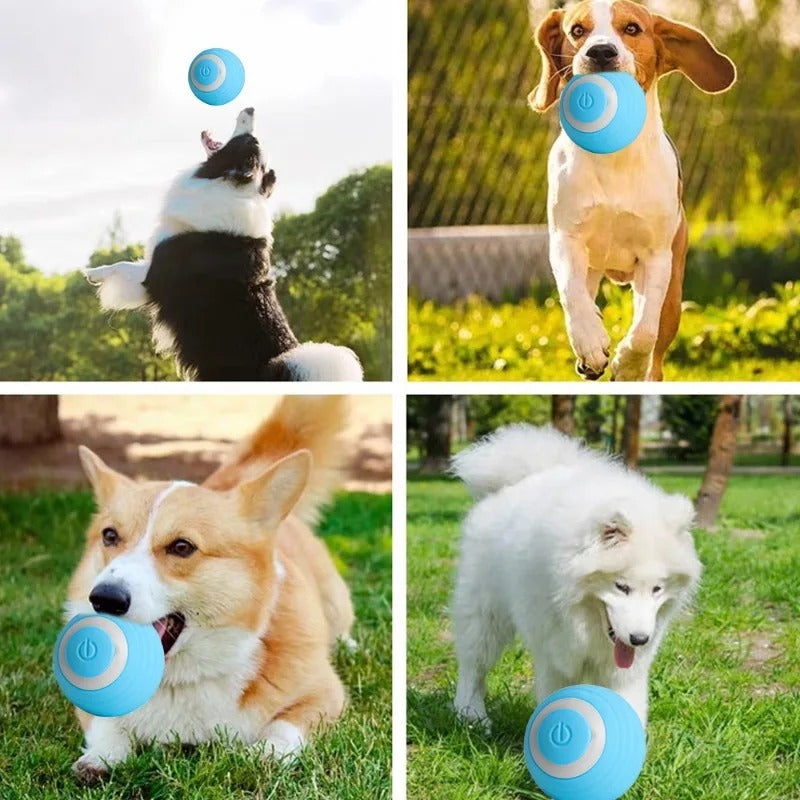 PELOTA INTELIGENTE ROLLER BALL USB®️ + ENVIO GRATIS